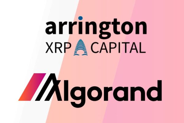 arrington algorand investitii