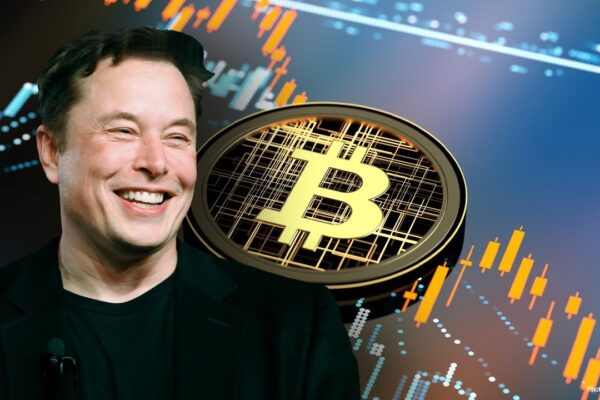 bitcoin mining elon consiliu