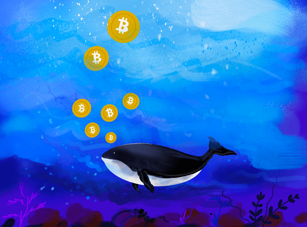 bitcoin whale