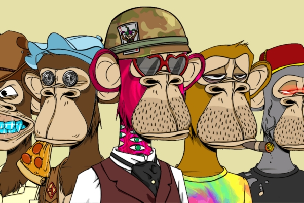 bored apes