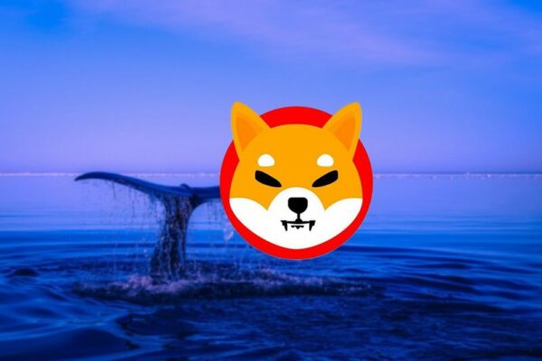 shiba inu whale